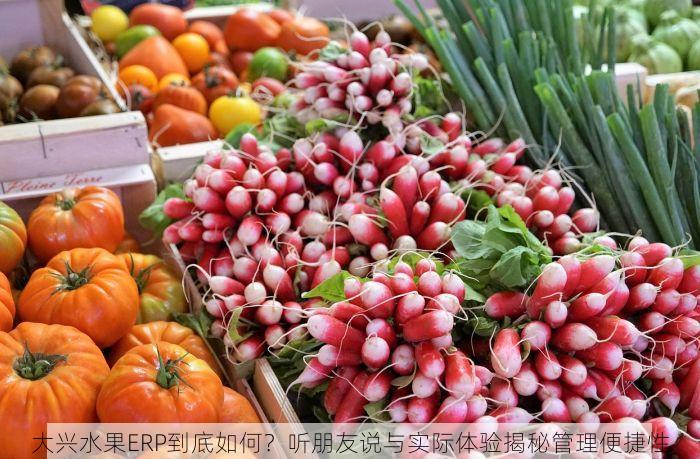 大兴水果ERP到底如何？听朋友说与实际体验揭秘管理便捷性