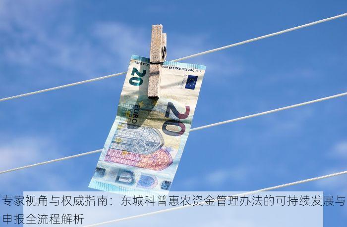 专家视角与权威指南：东城科普惠农资金管理办法的可持续发展与申报全流程解析