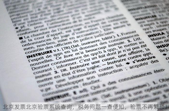 北京发票北京验票系统查询，税务问题一查便知，验票不再繁琐！