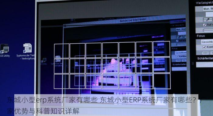 东城小型erp系统厂家有哪些 东城小型ERP系统厂家有哪些？厂家优势与科普知识详解