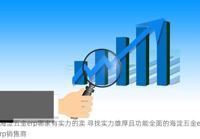 海淀五金erp哪家有实力的卖 寻找实力雄厚且功能全面的海淀五金erp销售商