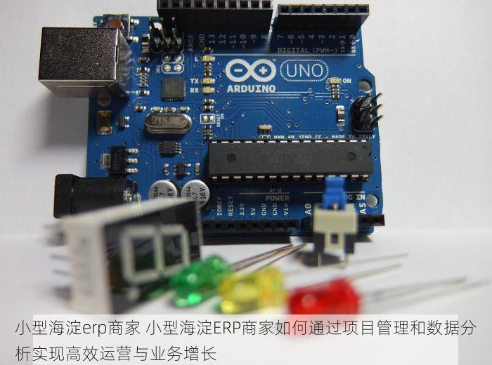小型海淀erp商家 小型海淀ERP商家如何通过项目管理和数据分析实现高效运营与业务增长