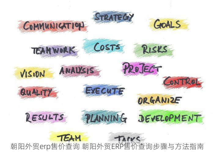 朝阳外贸erp售价查询 朝阳外贸ERP售价查询步骤与方法指南