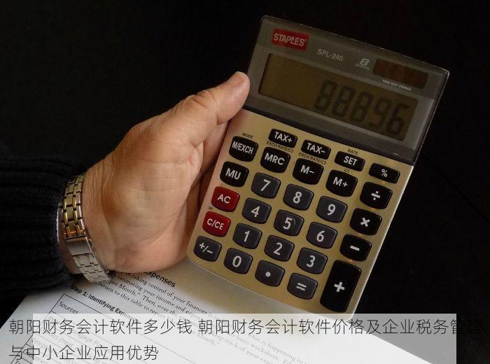 朝阳财务会计软件多少钱 朝阳财务会计软件价格及企业税务管理与中小企业应用优势