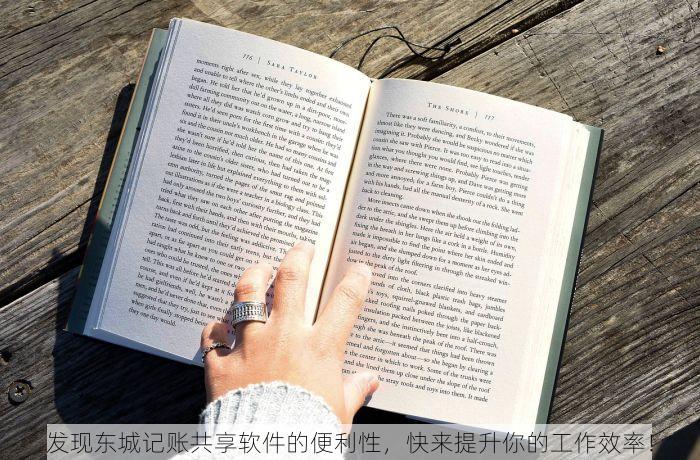 发现东城记账共享软件的便利性，快来提升你的工作效率！