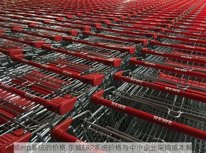 东城erp系统的价格 东城ERP系统价格与中小企业采购成本解析