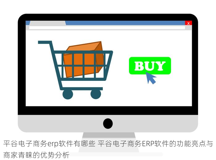 平谷电子商务erp软件有哪些 平谷电子商务ERP软件的功能亮点与商家青睐的优势分析