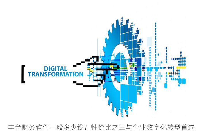 丰台财务软件一般多少钱？性价比之王与企业数字化转型首选