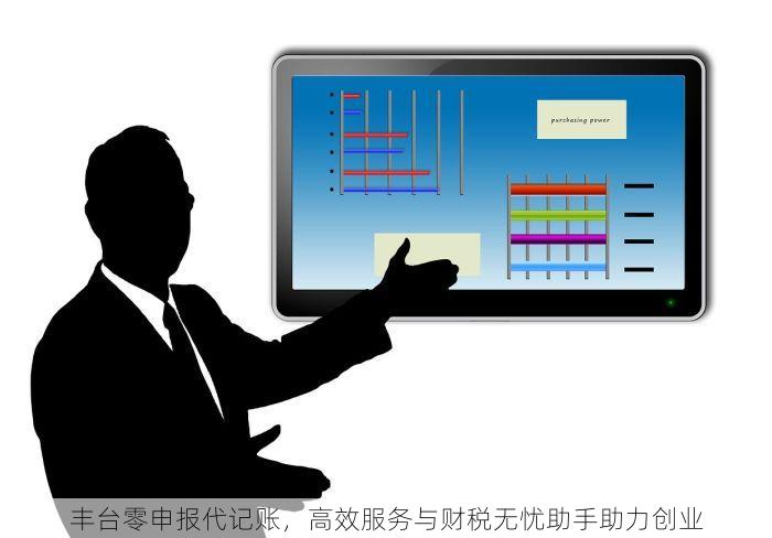 丰台零申报代记账，高效服务与财税无忧助手助力创业