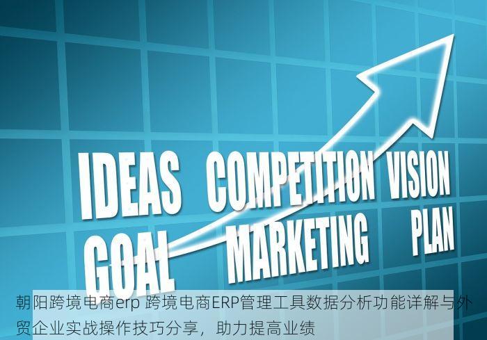 朝阳跨境电商erp 跨境电商ERP管理工具数据分析功能详解与外贸企业实战操作技巧分享，助力提高业绩