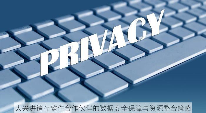 大兴进销存软件合作伙伴的数据安全保障与资源整合策略