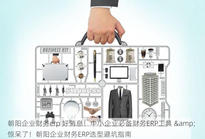 朝阳企业财务erp 好消息！中小企业必备财务ERP工具 & 惊呆了！朝阳企业财务ERP选型避坑指南