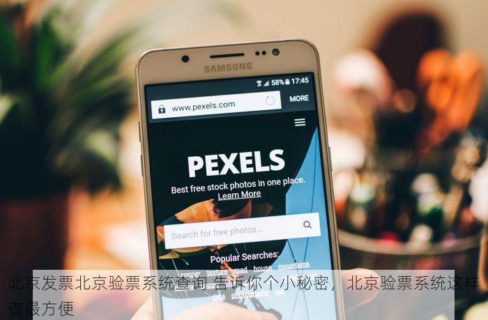 北京发票北京验票系统查询 告诉你个小秘密，北京验票系统这样查最方便