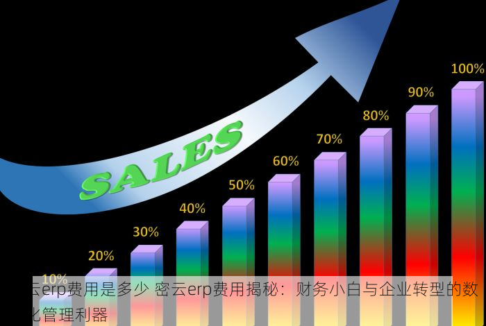 密云erp费用是多少 密云erp费用揭秘：财务小白与企业转型的数字化管理利器