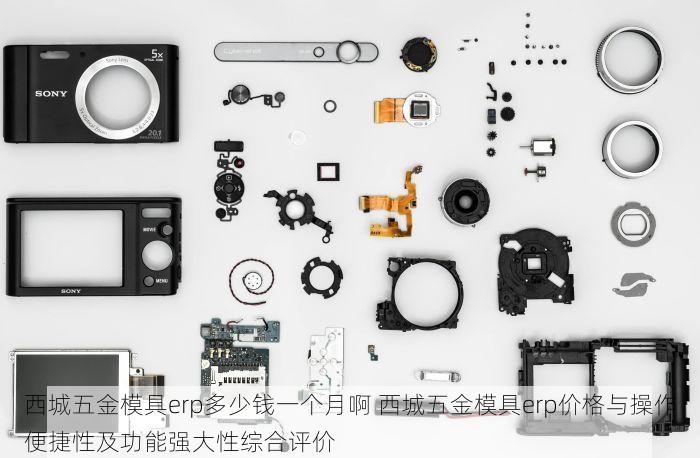 西城五金模具erp多少钱一个月啊 西城五金模具erp价格与操作便捷性及功能强大性综合评价