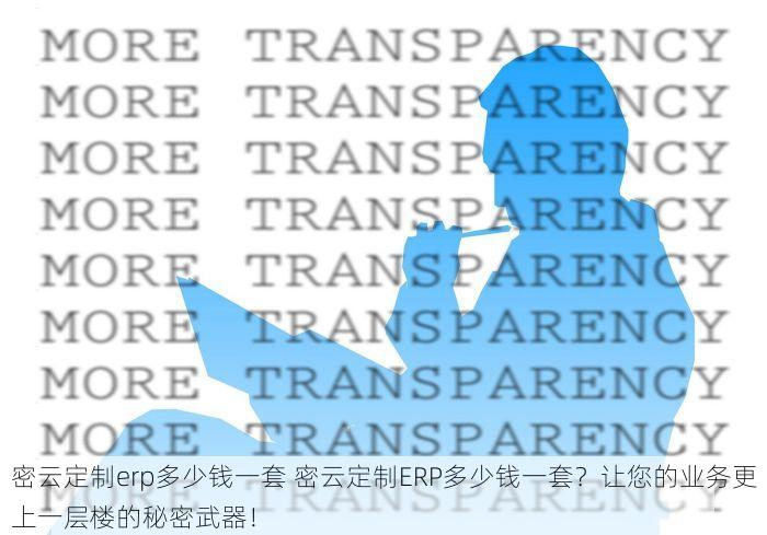 密云定制erp多少钱一套 密云定制ERP多少钱一套？让您的业务更上一层楼的秘密武器！