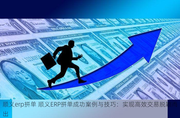 顺义erp拼单 顺义ERP拼单成功案例与技巧：实现高效交易脱颖而出