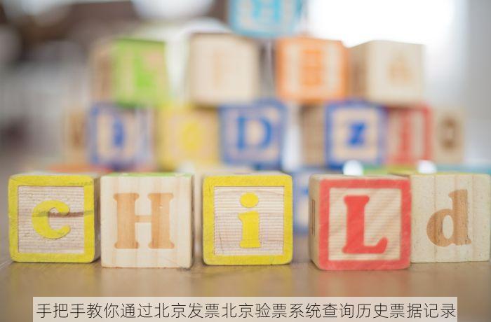 西城会计记账软件怎么用 西城会计记账软件新手入门与客户信息处理全攻略
