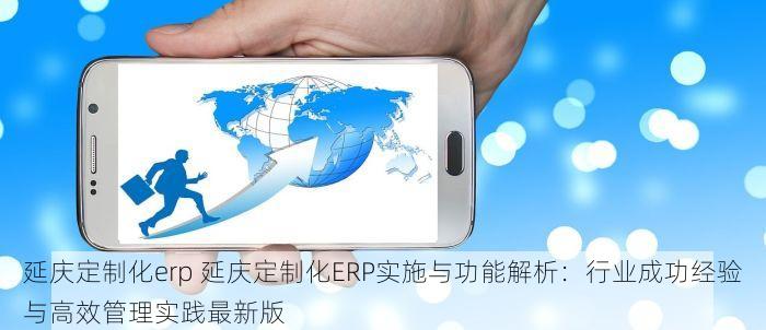 延庆定制化erp 延庆定制化ERP实施与功能解析：行业成功经验与高效管理实践最新版