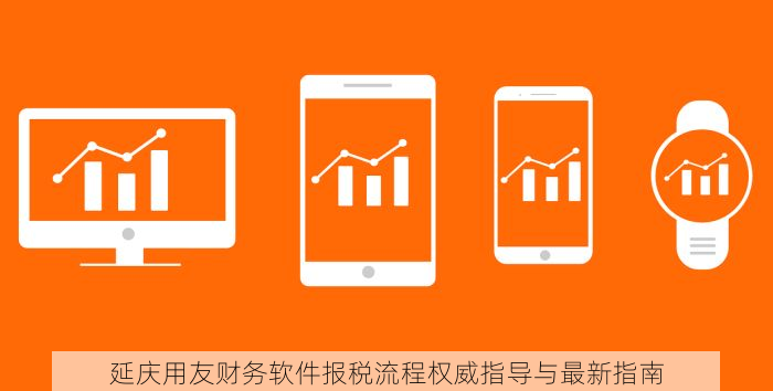 延庆用友财务软件报税流程权威指导与最新指南
