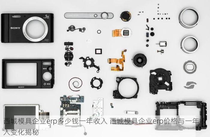 西城模具企业erp多少钱一年收入 西城模具企业erp价格与一年收入变化揭秘