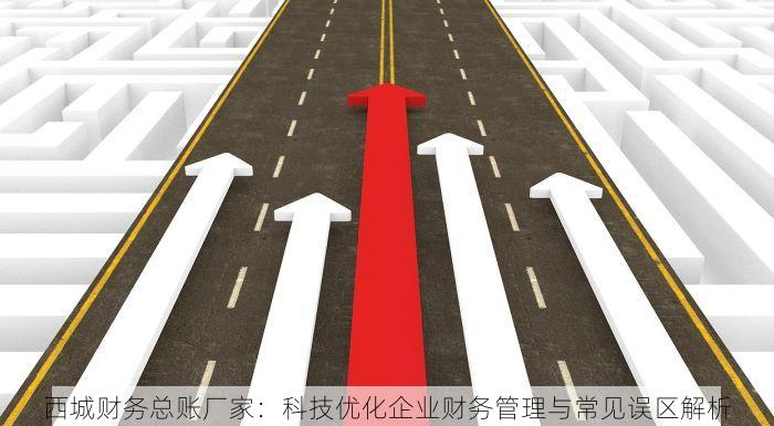 西城财务总账厂家：科技优化企业财务管理与常见误区解析