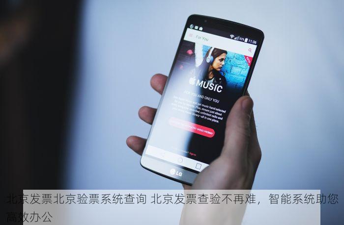 北京发票北京验票系统查询 北京发票查验不再难，智能系统助您高效办公