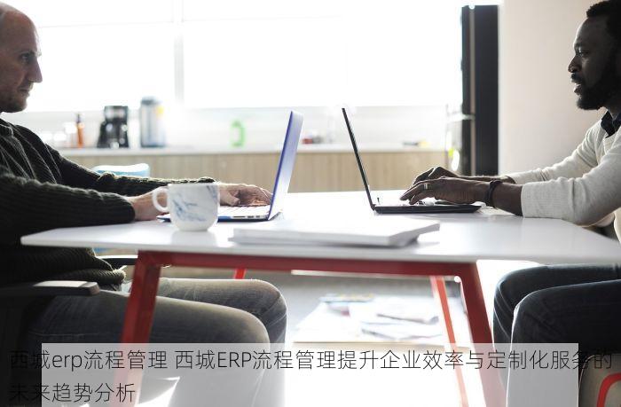 西城erp流程管理 西城ERP流程管理提升企业效率与定制化服务的未来趋势分析