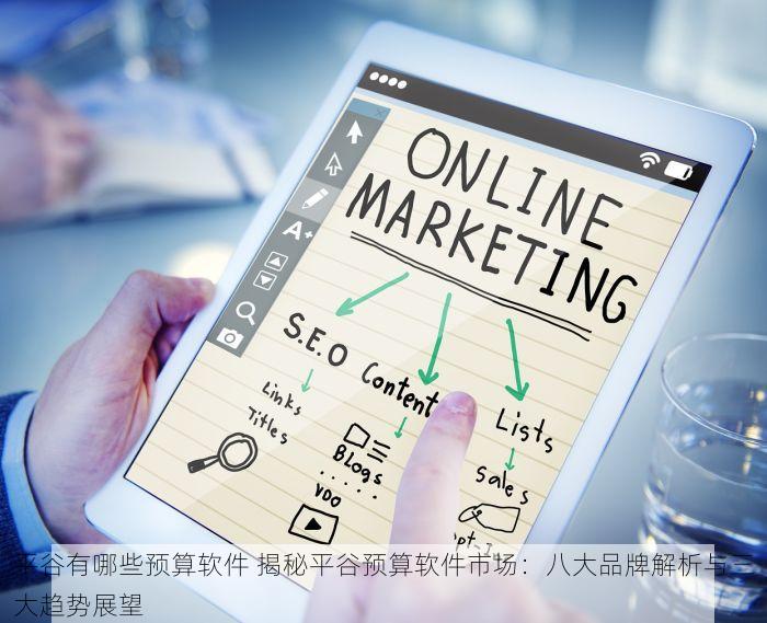 平谷有哪些预算软件 揭秘平谷预算软件市场：八大品牌解析与三大趋势展望