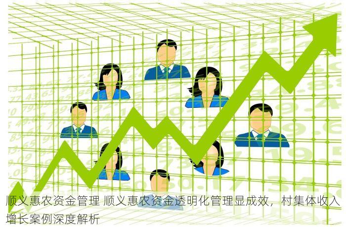 顺义惠农资金管理 顺义惠农资金透明化管理显成效，村集体收入增长案例深度解析