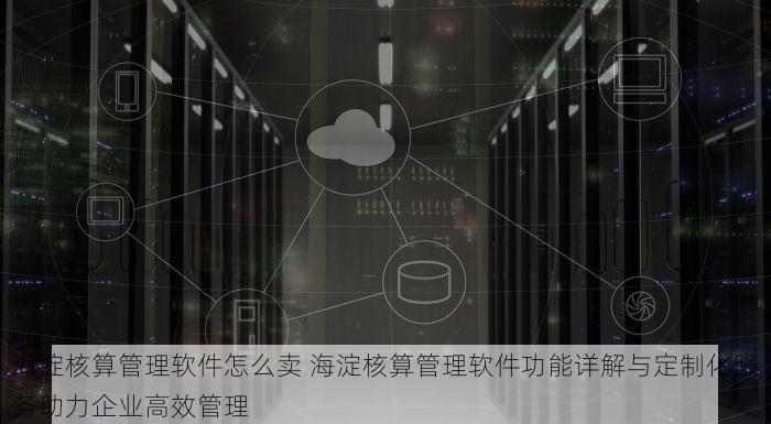 海淀核算管理软件怎么卖 海淀核算管理软件功能详解与定制化服务助力企业高效管理