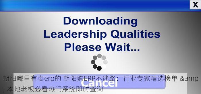 朝阳哪里有卖erp的 朝阳购ERP不迷路：行业专家精选榜单 & 本地老板必看热门系统即时查询