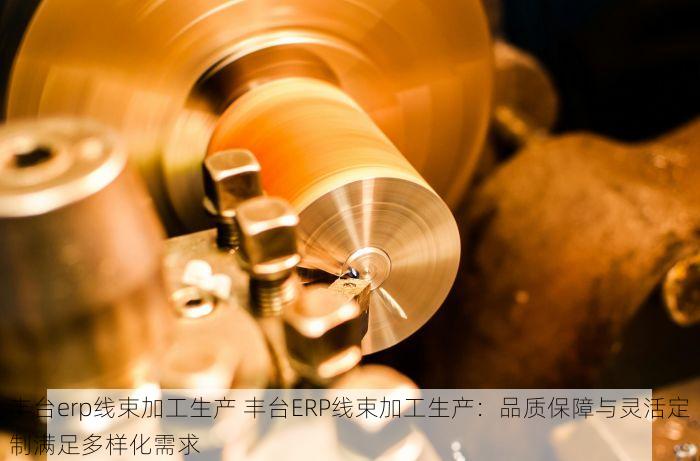 丰台erp线束加工生产 丰台ERP线束加工生产：品质保障与灵活定制满足多样化需求