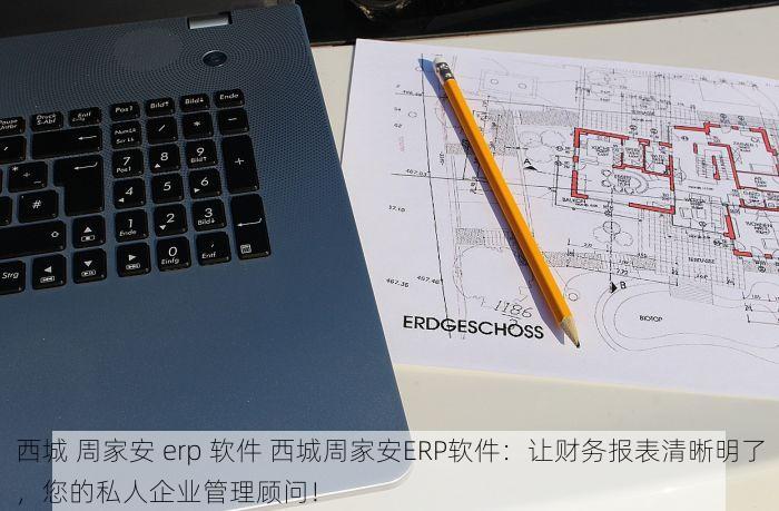 西城 周家安 erp 软件 西城周家安ERP软件：让财务报表清晰明了，您的私人企业管理顾问！