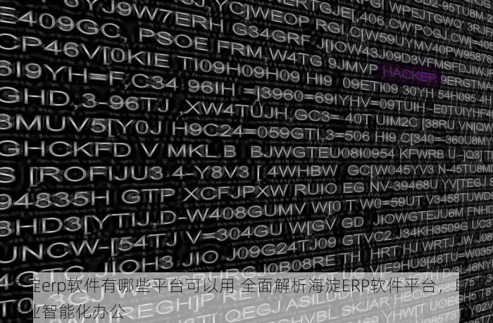 海淀erp软件有哪些平台可以用 全面解析海淀ERP软件平台，助力企业智能化办公