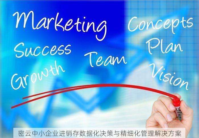 密云中小企业进销存数据化决策与精细化管理解决方案