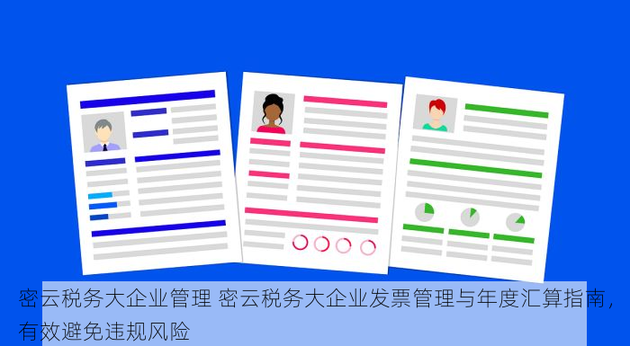 密云税务大企业管理 密云税务大企业发票管理与年度汇算指南，有效避免违规风险