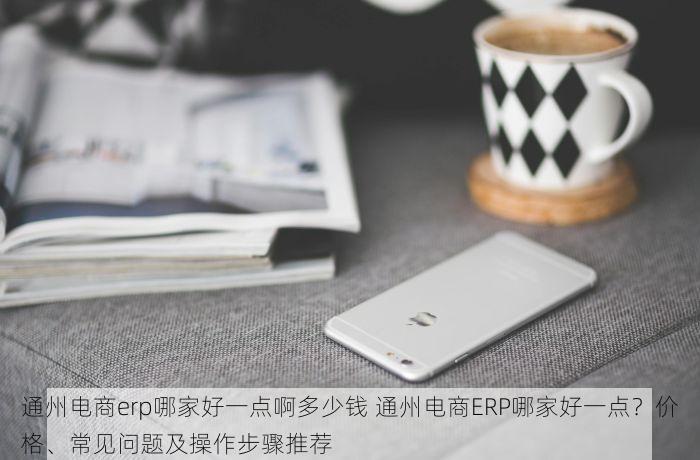 通州电商erp哪家好一点啊多少钱 通州电商ERP哪家好一点？价格、常见问题及操作步骤推荐