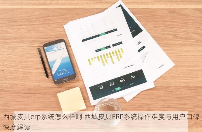 西城皮具erp系统怎么样啊 西城皮具ERP系统操作难度与用户口碑深度解读