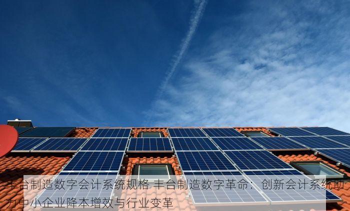 丰台制造数字会计系统规格 丰台制造数字革命：创新会计系统助力中小企业降本增效与行业变革