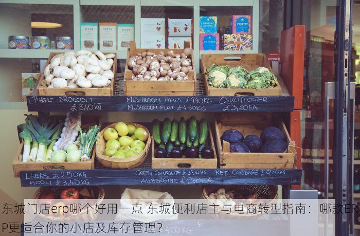 东城门店erp哪个好用一点 东城便利店主与电商转型指南：哪款ERP更适合你的小店及库存管理？