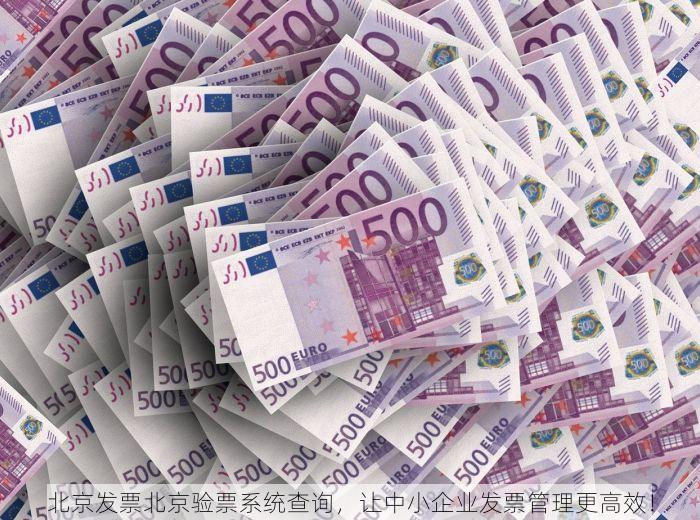北京发票北京验票系统查询，让中小企业发票管理更高效！