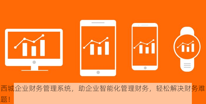 西城企业财务管理系统，助企业智能化管理财务，轻松解决财务难题！