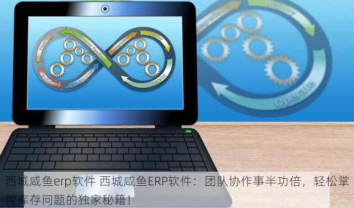 西城咸鱼erp软件 西城咸鱼ERP软件：团队协作事半功倍，轻松掌控库存问题的独家秘籍！