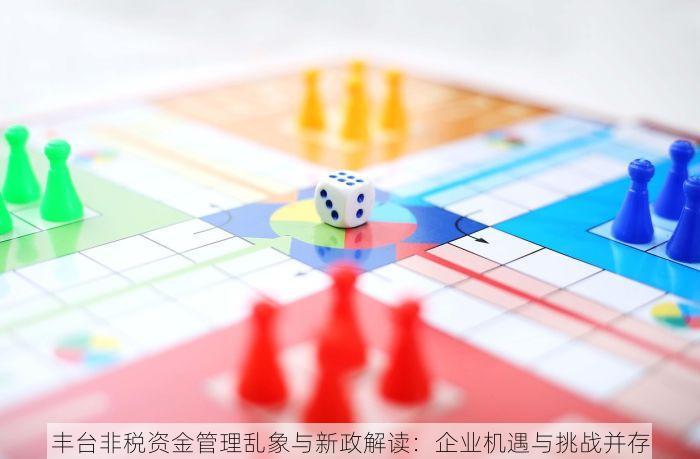 丰台非税资金管理乱象与新政解读：企业机遇与挑战并存