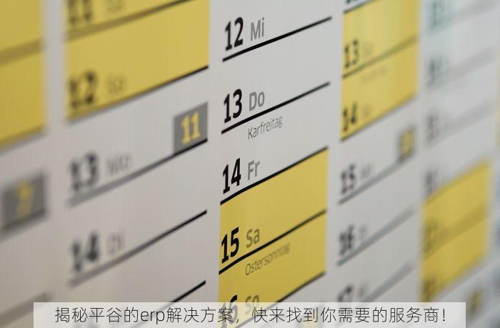 揭秘平谷的erp解决方案，快来找到你需要的服务商！
