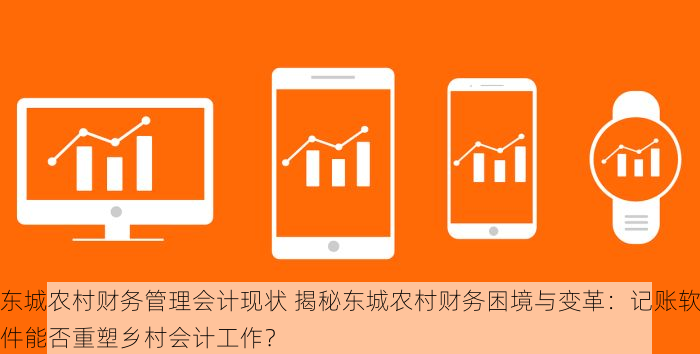 东城农村财务管理会计现状 揭秘东城农村财务困境与变革：记账软件能否重塑乡村会计工作？