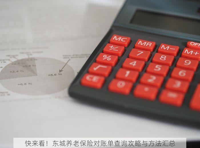 快来看！东城养老保险对账单查询攻略与方法汇总