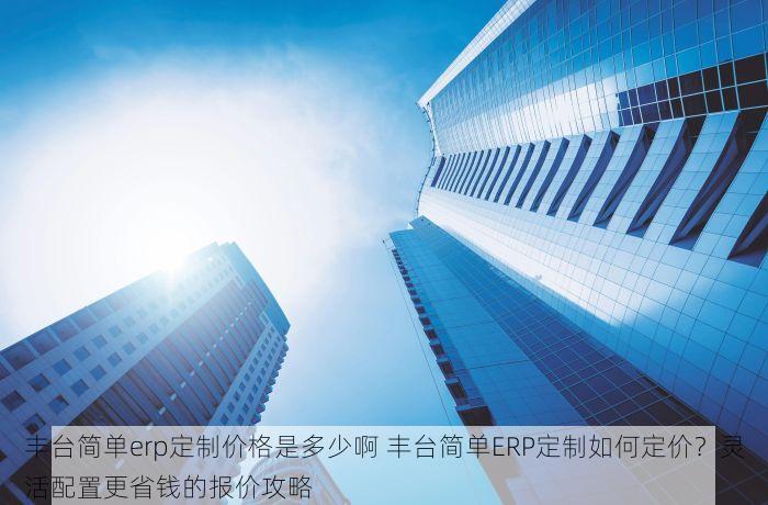 丰台简单erp定制价格是多少啊 丰台简单ERP定制如何定价？灵活配置更省钱的报价攻略