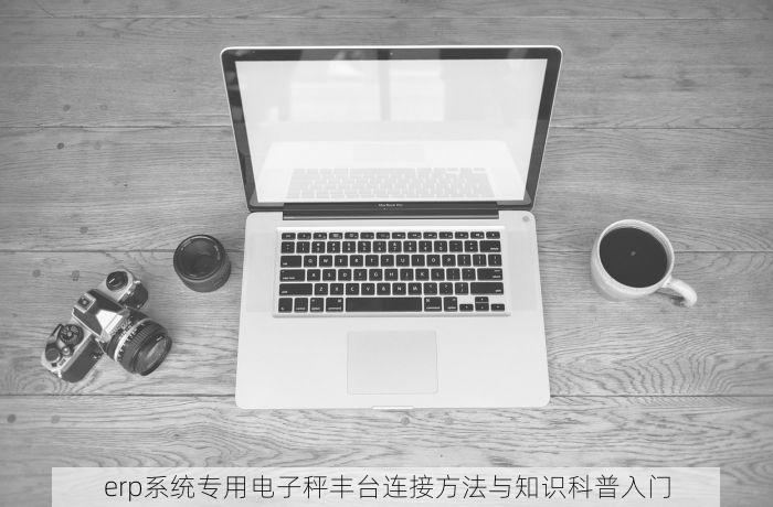 erp系统专用电子秤丰台连接方法与知识科普入门